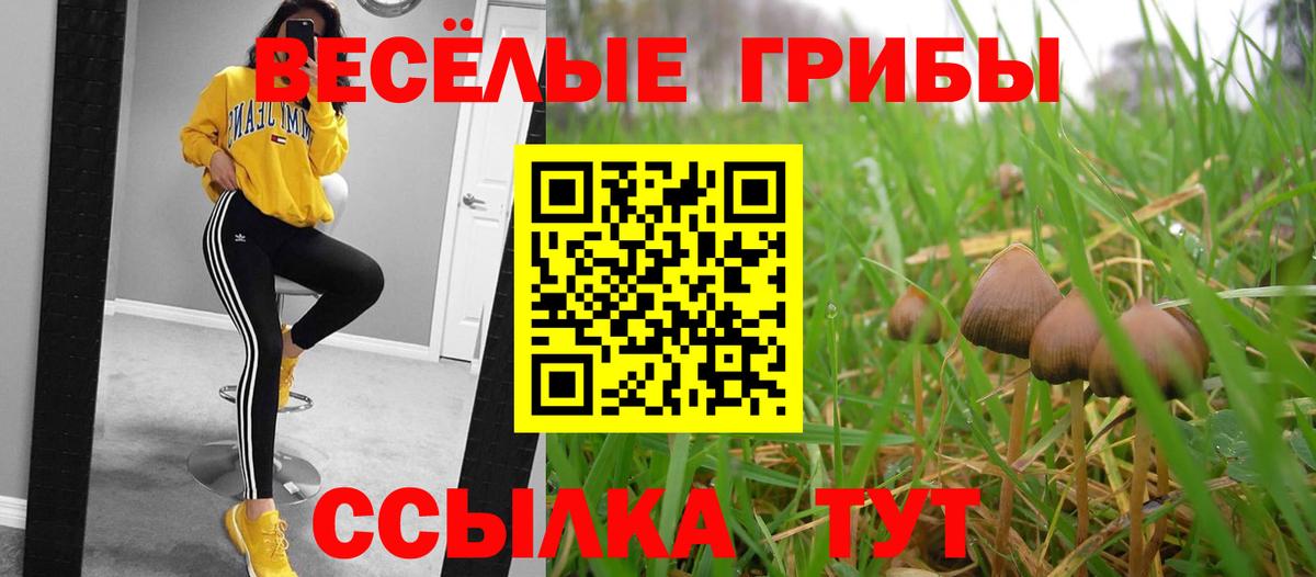 Галлюциногенные грибы GOLDEN TEACHER  Псилоцибиновые грибы мухоморы  Вход с VPN  Фролово 